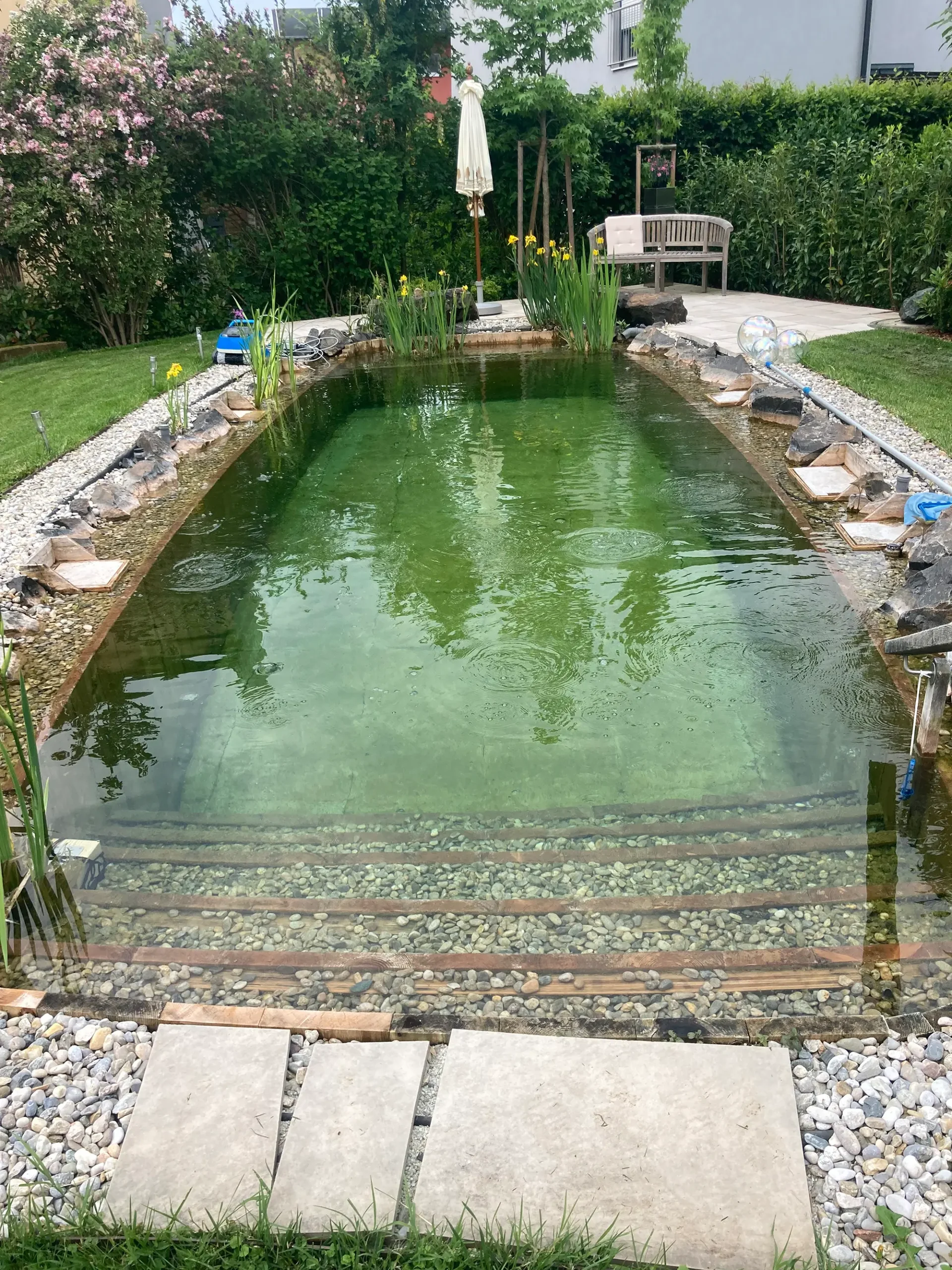 Foto eines Schwimmteichs in einem Garten in Leibnitz. Eine Hecke mit einigen Bäumen umgibt den Teich. In der Mitte des Bildes befindet sich ein mit Steinen und Blumen eingefasster Teich, dahinter steht ein Schirm mit einer Sitzbank.
